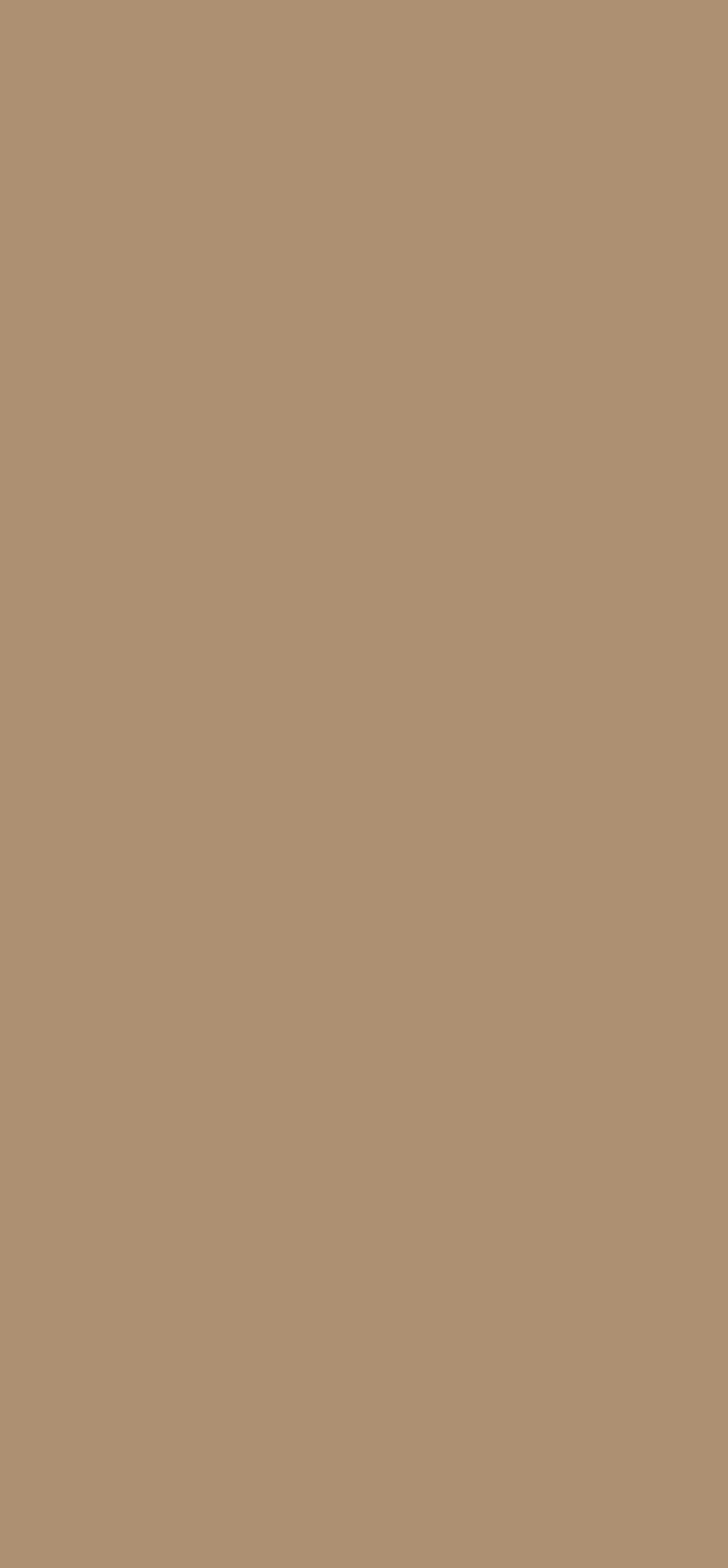 U250 TM Caramel Beige